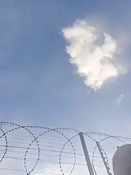 Lets-Collaborate webcam