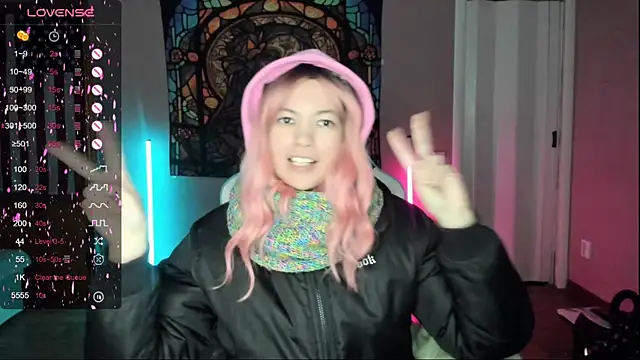 Project_hisoka webcam