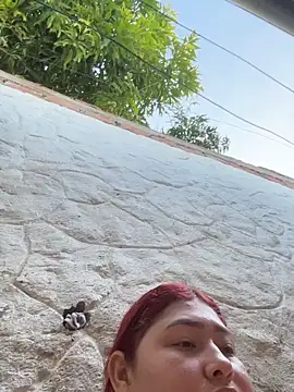 Rouse-Antonella webcam