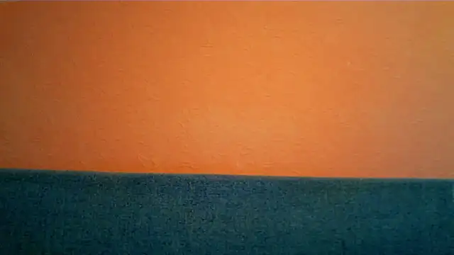 Honey_Whisper webcam