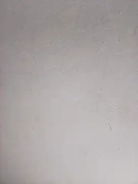 Tequilamaster webcam