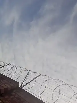 Lets-Collaborate webcam