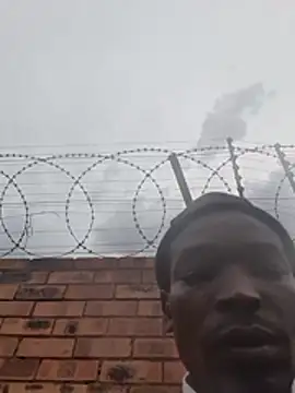 Lets-Collaborate webcam