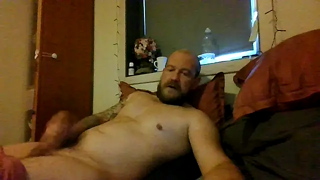 Real_viking webcam