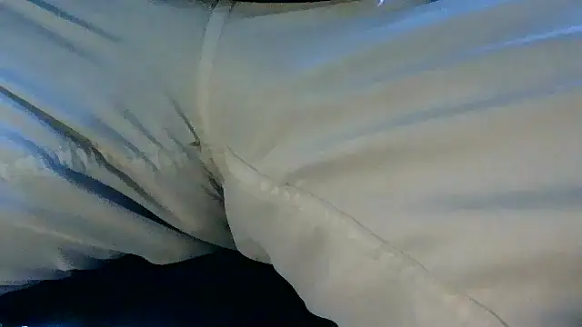 NuttyProfesir webcam