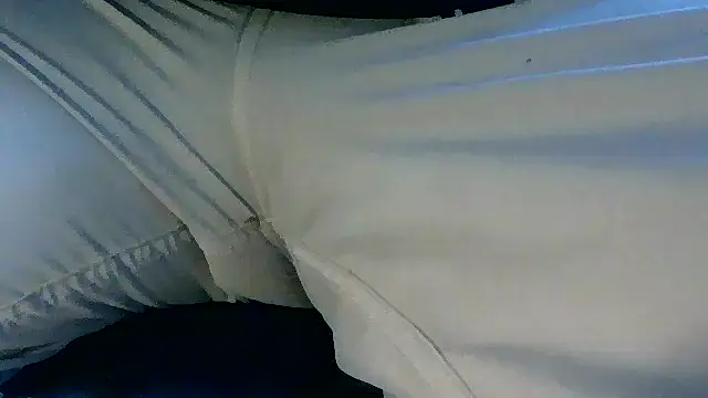 NuttyProfesir webcam