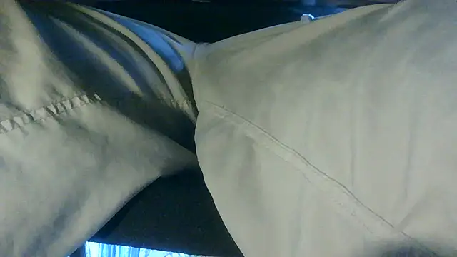 NuttyProfesir webcam