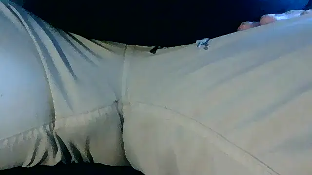 NuttyProfesir webcam