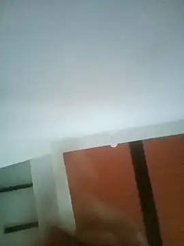 JacobandAurora webcam