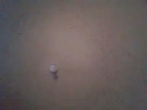 Mrunpredictableyouknow webcam