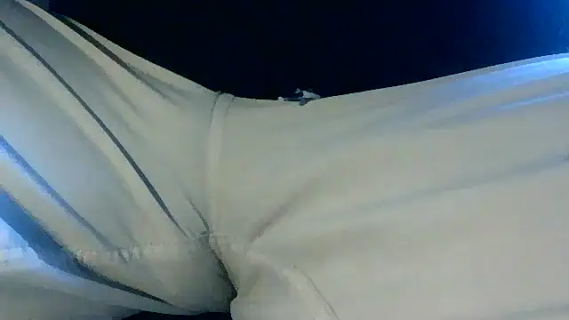 NuttyProfesir webcam