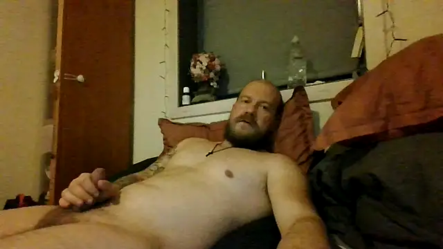 Real_viking webcam