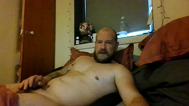 Real_viking webcam