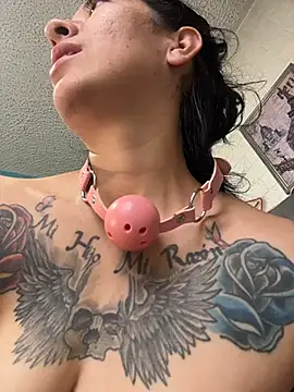 SALOME_KORLAND webcam