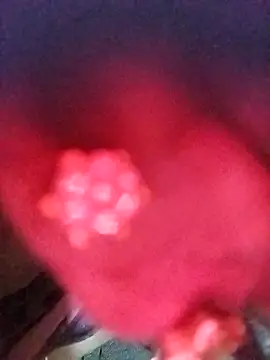 Tamilauntyhot webcam