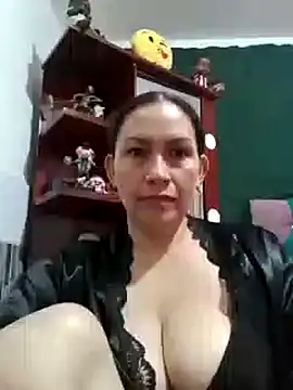 Adelgey-Michell webcam