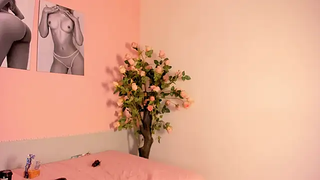 Stefany_gonzales_ webcam