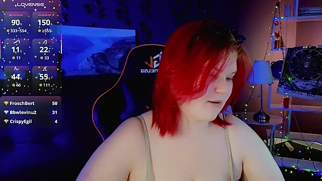 fillisfox_ webcam