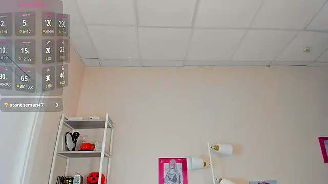 Barbara_Mitchel webcam