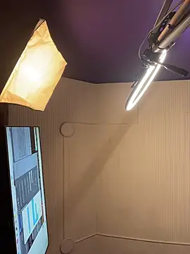 _MissFortune__ webcam