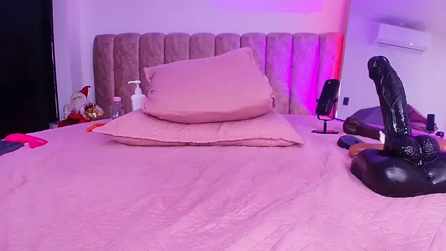 Auroraa_miller webcam