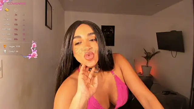 destinne_mill_ webcam