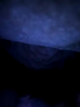 sosalAltimeter webcam