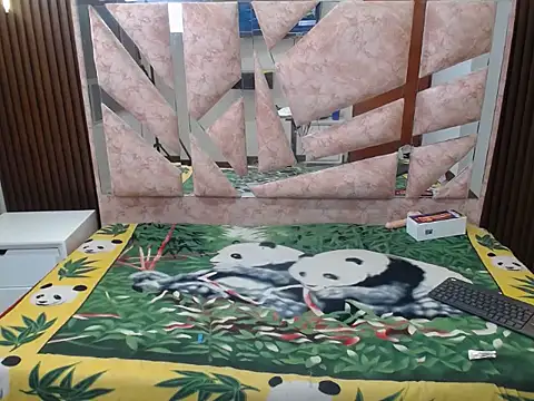 sandy_andersons webcam