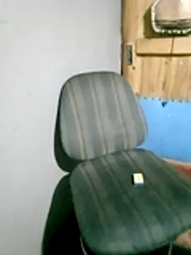 BigGamecharger webcam