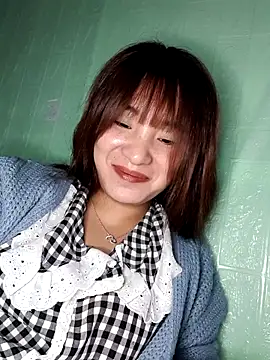 Linksys_nicee webcam