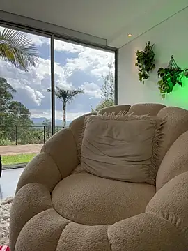 DimitriSullivan_ webcam