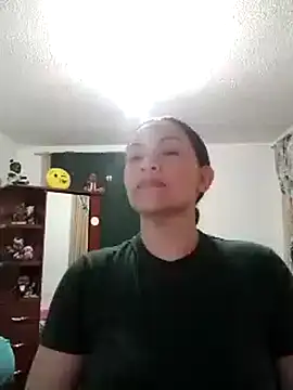 Adelgey-Michell webcam