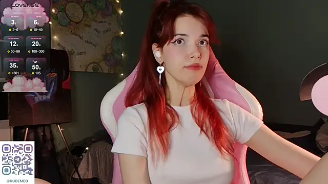KudeMeows webcam