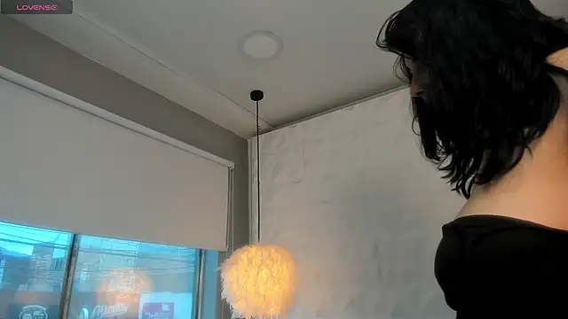 ObsidianOrchid webcam