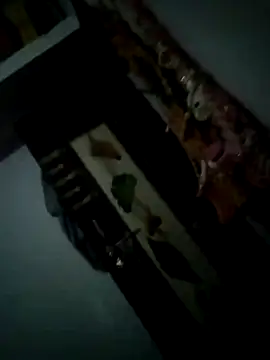 starnighcouple webcam