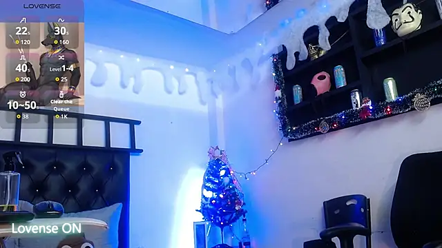 subarashi_ishi69 webcam