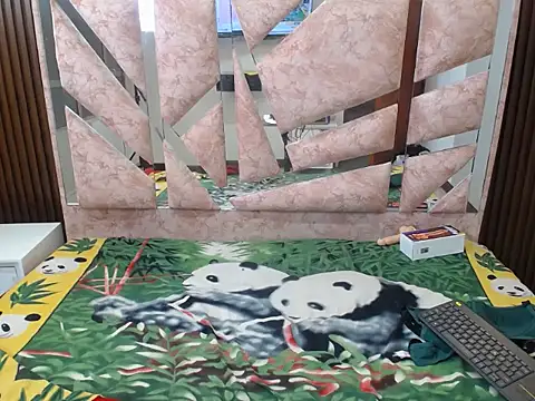 sandy_andersons webcam