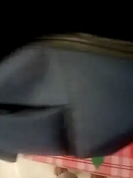 Bengali_BULL1 webcam