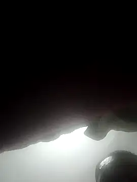 AfricanHorseDick webcam