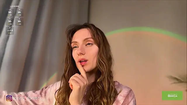 spring_forest webcam