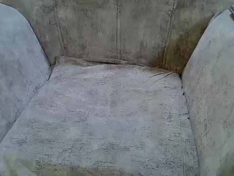 pradapussycat webcam