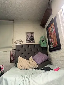 SALOME_KORLAND webcam