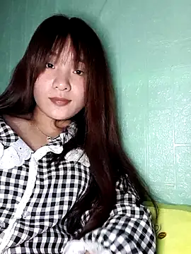 Linksys_nicee webcam