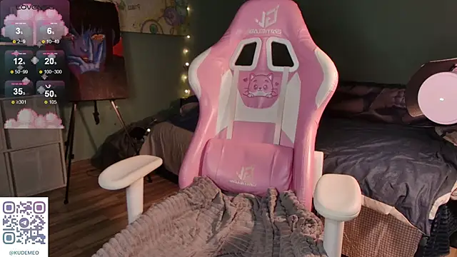 KudeMeows webcam