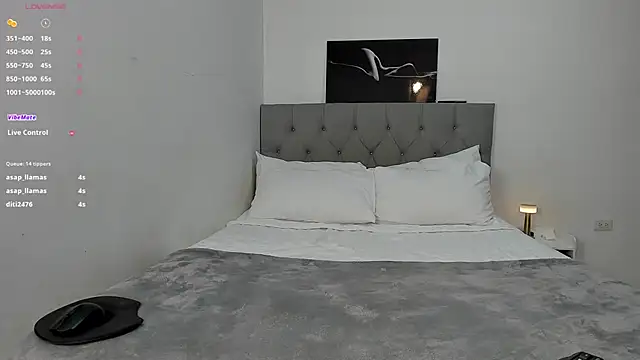 CHAYBLACK webcam