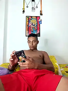 Demiansteven2 webcam