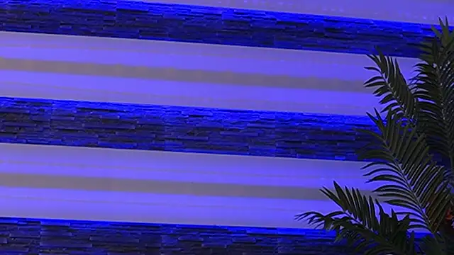 blondie_muller webcam