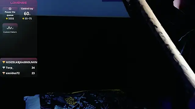 shybutdirtygirrll webcam