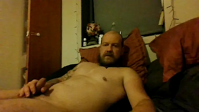 Real_viking webcam