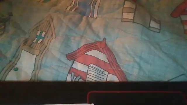 southernflair webcam